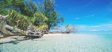 Pantai Anggopi, Destinasi Wisata Favorit di Biak yang Tenang dan Menawan